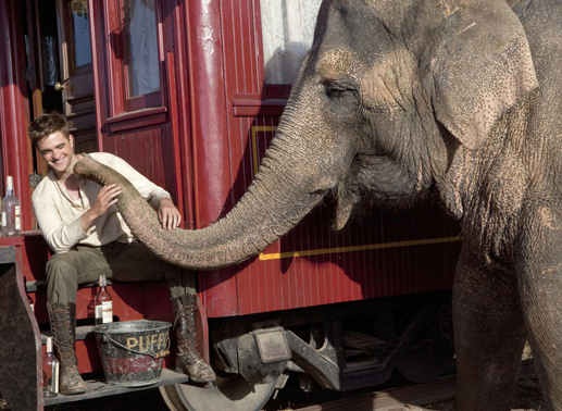 Auf den Elefant gekommen: Jacob Jankowski (Robert Pattinson). Bild: Twentieth Century Fox
