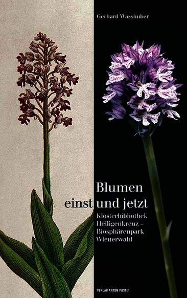 Neues Buch | Blumen einst und jetzt