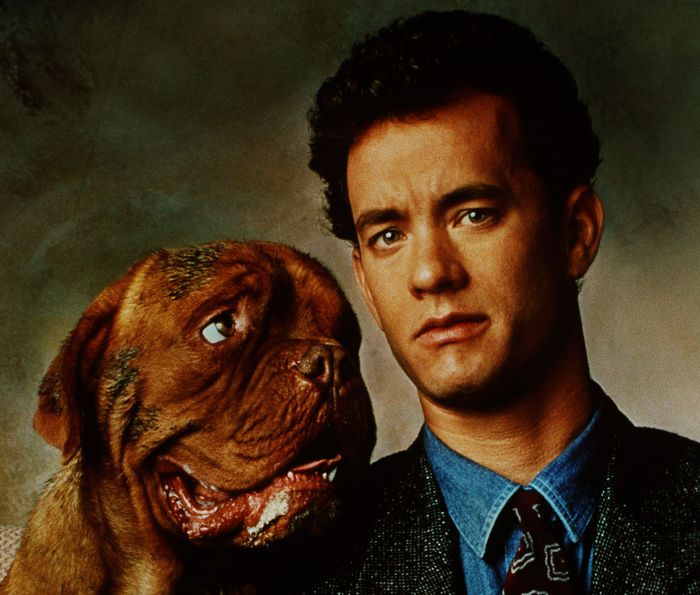 Ein ungleiches Paar: der penible Scott Turner (Tom Hanks) und Bordeaux-Dogge Huutsch. Bild: Sender