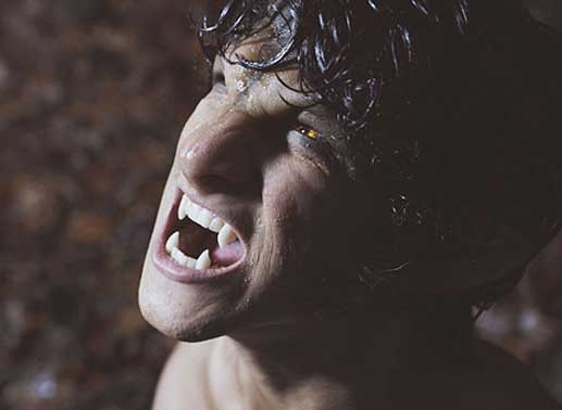 Bei Vollmond verwandelt sich Scott (Tyler Posey) in einen Werwolf. Bild: Sender