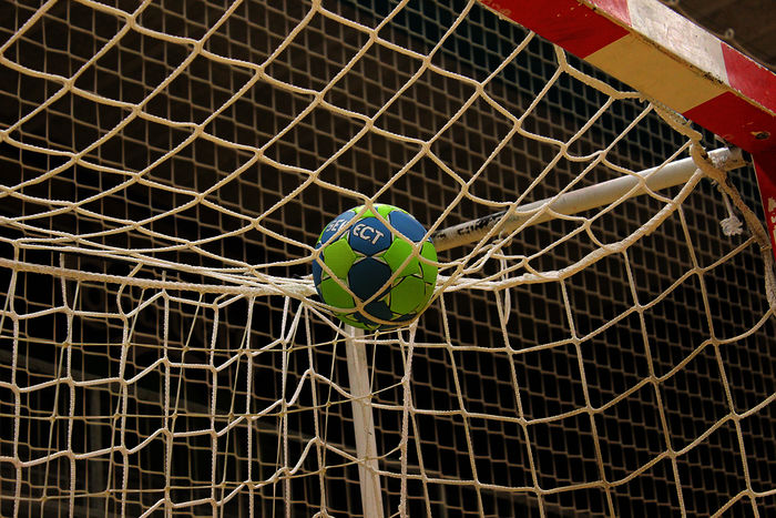 Handball. Bild von JeppeSmedNielsen auf Pixabay