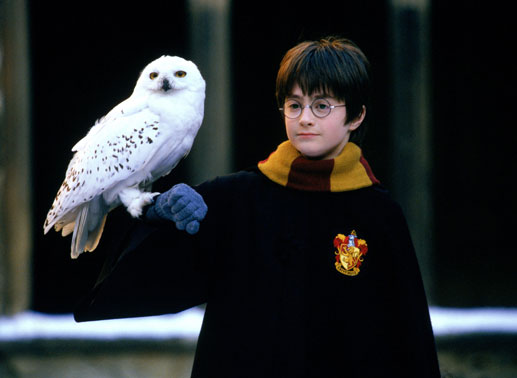 Daniell Radcliffe als Harry Potter. Bild: Sender / © Warner Bros. Ent. 
Harry Potter Publishing Rights © J.K.R.