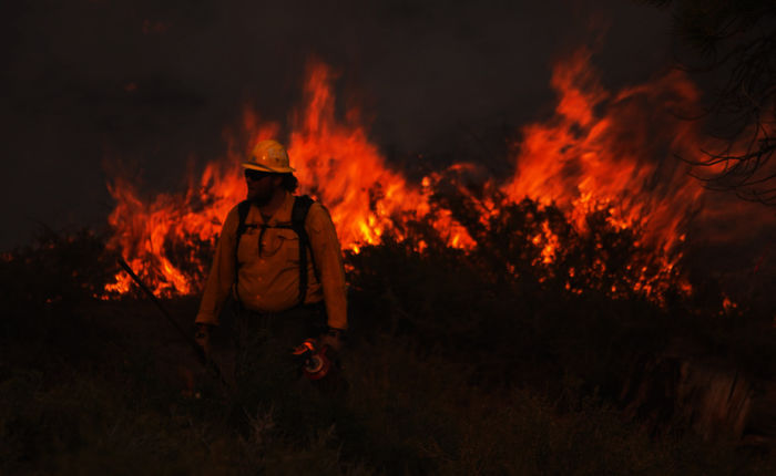 Die Feuerwehr löscht hier nicht nur. Sie legt auch gezielt Brände im Yosemite-Nationalpark. Bild: Sender