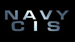 Logo: Navy CIS