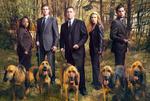 Im Bild (v.li.): Marianne Jean-Baptiste, Anthony LaPaglia, Poppy Montgomery, Enrique Murciano, Eric Close im Wald mit Hunden.
Fotocredit:ORF/Warner