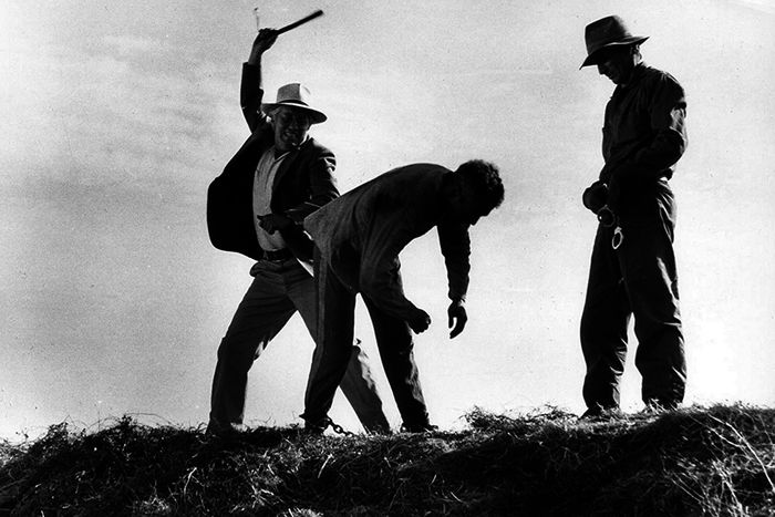 Paul Newman, Strother Martin, Robert Donner. Bild: Sender / Michael Ochs Archives / Image courtesy gettyimages.com