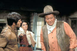 Wann laufen Western im TV?