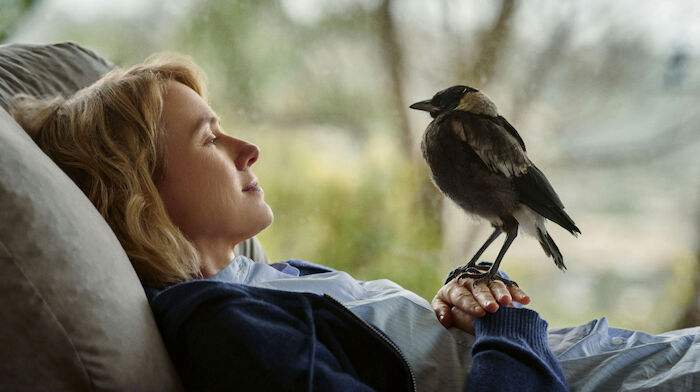 Befl&uuml;gelt - Ein Vogel namens Penguin Bloom: Penguin ist f&uuml;r die dreifache Mutter Sam (Naomi Watts) ein neues Familienmitglied. Bild: Sender / ARD Degeto / Leonine Studio