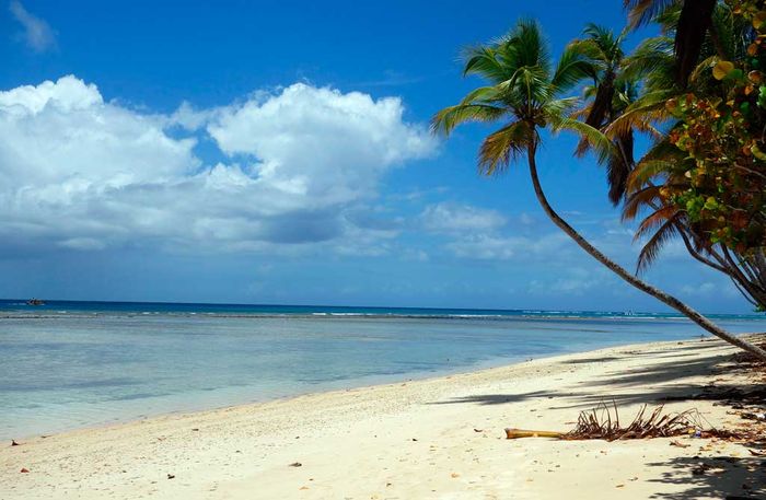 Der Strand von Pigeon Point, im Süden von Tobago. Bild: Sender / Steffen Schneider
